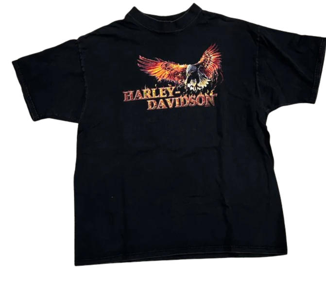 Harley Davidson 'Beartooth' Vintage Tee