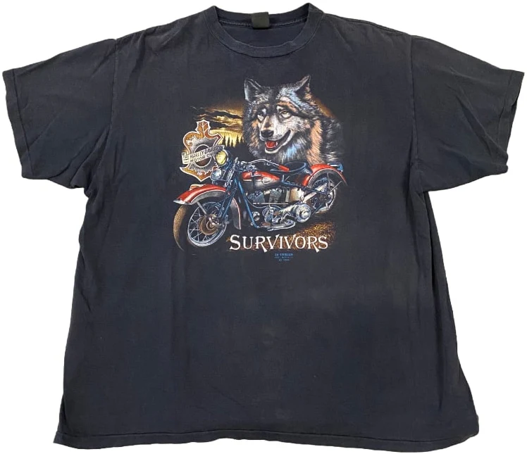 Harley Davidson 'Chick's' Vintage Tee