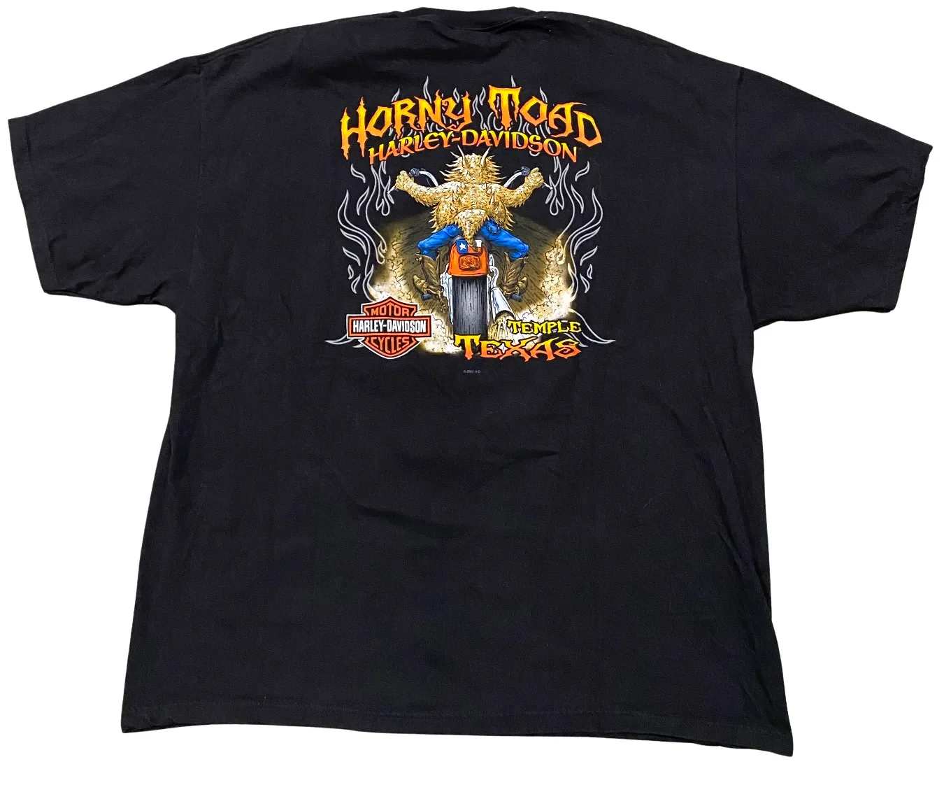 Harley Davidson 'Horny Toad' Vintage Tee - Image 2