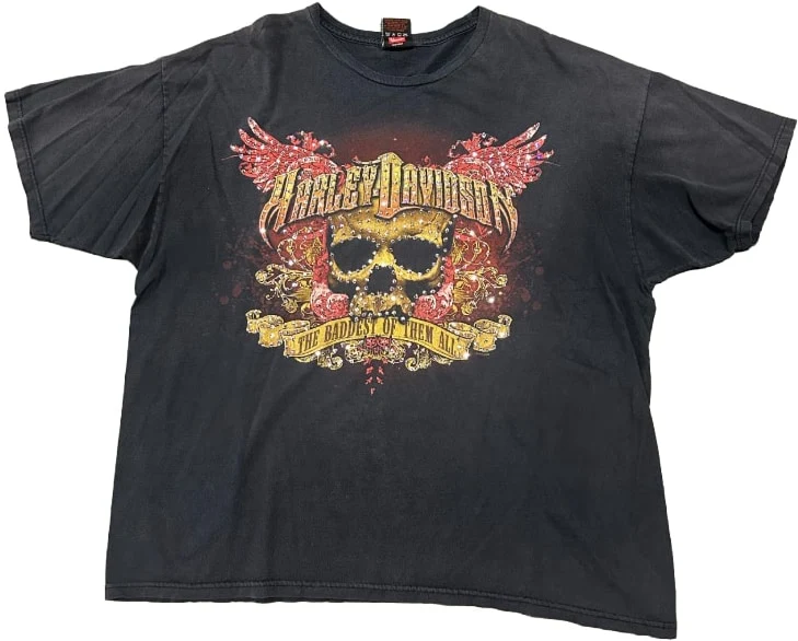 Harley Davidson 'Wildcat' Rhinestone Vintage Tee