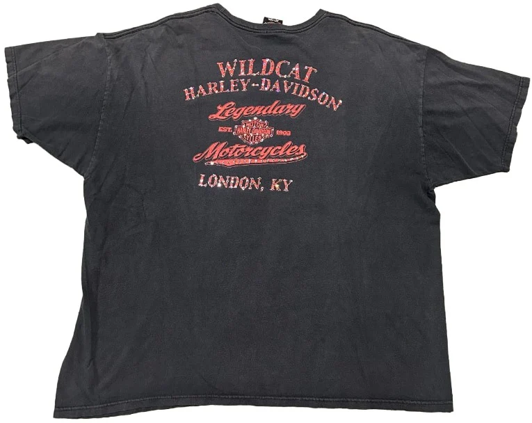 Harley Davidson 'Wildcat' Rhinestone Vintage Tee - Image 2
